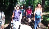 Trail Walking Saou - saou bergerie patuel auberge muletiers  - Photo 3