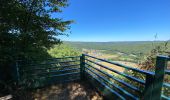 Excursión Senderismo Les Hautes-Rivières - Hautes Rivières Roches aux Corpias 24,8 - Photo 10