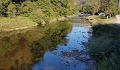 Tocht Stappen La Roche-en-Ardenne - La Roche-en-Ardenne - Photo 10