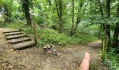Excursión Marcha nórdica Montbéliard - Montbéliard, fort la chaux. grand charmont  - Photo 2