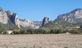 Randonnée Marche Soyans - Soyans- Rochecolombe 15 km - Photo 8