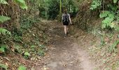 Trail Walking Plougrescant - RA 2023 Plougrescant Trévou - Photo 9