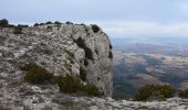 Trail Walking Pourcieux - Pourcieux - ¨Pas des Ifs, de la Croix et de Titet - Olympe - Rocher de Onze Heures - Croix de Pourcieux - Photo 5