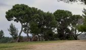 Trail Walking Puimoisson - PUIMOISSON RIEZ o n  - Photo 5