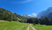 Trail Walking Saint-Gervais-les-Bains - J15 - R14 - Bellevue - Col de Voza - Bionnassay - Le Planet - L'Are - Photo 7