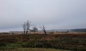 Trail Walking Waimes - RS 2024_10 Botrange  - Photo 2