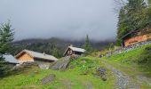 Tour Wandern Passy - J27 - R25 - 🍂🍁 Plaine-Joux - Les Ayères  - Lac Vert 🍁🍂
 - Photo 10