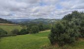 Tour Wandern Leigneux - Randonnée au dessus de Leigneux  - Photo 13