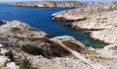 Tocht Stappen Marseille - Îles de Pomegues. Frioul.  - Photo 1