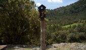 Percorso A piedi Guixers - Sant Serni del Grau-Santuari del Lord - Photo 6