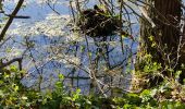 Percorso Marcia Coye-la-Forêt - randonnée découverte depuis côté la forêt jusqu'au étangs de comelles et retour sur coye - Photo 7