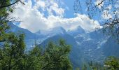 Tocht Stappen Les Houches - J3 - Les Chavants - Chamonix Centre - Photo 13