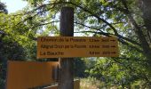 Trail Walking Attignat-Oncin - mont grêle par attignat - Photo 1