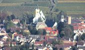 Tour Zu Fuß Ingelheim am Rhein - Rundweg Westerberg - Photo 1