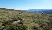 Excursión Senderismo Le Valtin - gazon du fait les lacs - Photo 1