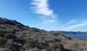 Tocht Stappen Banyuls-sur-Mer - banyuls . coll de gran bau . retour par le littoral  - Photo 6