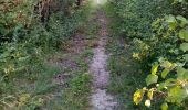 Tocht Stappen Mirabel-et-Blacons - Col de Pourcheton - Photo 3