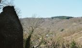 Tour Zu Fuß Altenahr - Altenahr Rundweg 2 - Photo 6