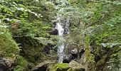 Excursión Senderismo Plancher-les-Mines - Cascades de la Goutte des Saules - Belvédère - Grotte St Antoine - Photo 12