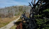 Tour Zu Fuß Neuschönau - Luchs - Photo 8