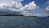 Randonnée Bateau à moteur Locmariaquer - 2023-09-22 golfe du morbihan croisière avec l'angélus - Photo 7