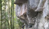 Tour Wandern Consolation-Maisonnettes - Roche du Prêtre - Cirque de Consolation  - Photo 8