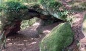 Randonnée Marche Münchweiler an der Rodalb - Felsenwald - Photo 3