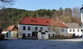 Tocht Te voet Gemeinde Weissenbach an der Triesting - Weißenbach a.d. Triesting - Wolfsgrube - Veiglkogel - Photo 4