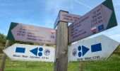 Tocht Stappen Luik - Jupille Terril du Hasard 23,2 km - Photo 2