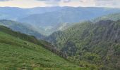 Randonnée Marche Stosswihr - Honeck depuis Gaschney - Photo 8