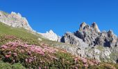 Randonnée Marche Névache - Cerces  - Photo 1