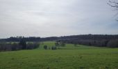 Tour Wandern Léglise - rando ornitho louftemont 20-03-2024 - Photo 3