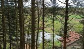 Tocht Stappen Rupt-sur-Moselle - 19-04-25 : Beuille ( Vosges)  - Photo 1