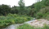 Randonnée A pied Castellar del Vallès - SL-C 65 Camí de les Arenes - Photo 4