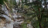 Excursión Senderismo Saint-Pierre-d'Entremont - Cirque de St Même - Photo 14