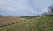 Tour Wandern Voerendaal - Ubachsberg  - Photo 2