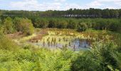 Randonnée Marche Seignosse - les Landes  - Photo 9