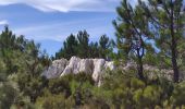 Tour Wandern La Garde-Freinet - les roches  blanches - Photo 3