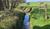 Excursión Senderismo Chaumont-Gistoux - BE-Chaumont-Gistoux - Le Bercuit par Dion-le-Val - blog le bruant wallon - Photo 5