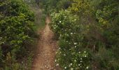 Trail Walking La Londe-les-Maures - Dolmen de Gaoutabry - Photo 11