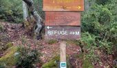 Trail Walking Calenzana - refuge de Carrozzu depuis Bonifatu - Photo 2