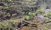 Trail Walking Waimes - Peak brune - Photo 11