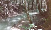 Randonnée Marche Nans-les-Pins - Sainte Baume : Nans les Pins - Chemin des Roys _ Les source de L'Huveaune - Photo 3