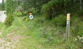 Randonnée Marche Châtillon-en-Diois - Montagne de Beaupuy - Nonnières - Photo 13