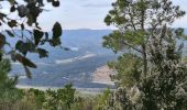 Randonnée Marche Cavalaire-sur-Mer - Cavalaire - oppidum de montjean crête des pradels - Photo 18