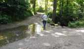 Randonnée Marche Seraing - boncelles, château de plaineveaux +village  - Photo 3