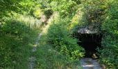 Trail Walking Reugny - Reugny - Vignes et Brenne - Photo 5