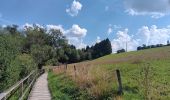 Tour Wandern Bütgenbach - butgenbach sous 34° - Photo 14