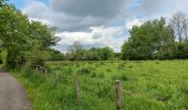 Excursión Senderismo Theux - lareid . vertbuisson . haut marais . fraineux . la reid  - Photo 10