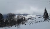 Tocht Stappen La Bresse - la bresse - le moutier des fées  - Photo 4